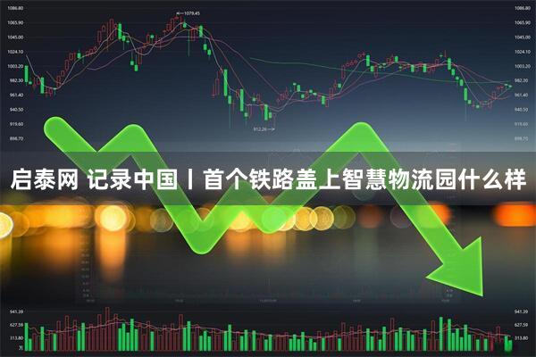 启泰网 记录中国丨首个铁路盖上智慧物流园什么样