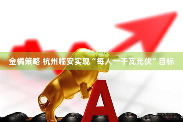 金橘策略 杭州临安实现“每人一千瓦光伏”目标