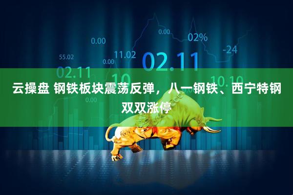 云操盘 钢铁板块震荡反弹，八一钢铁、西宁特钢双双涨停