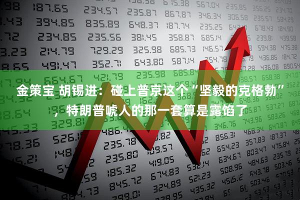 金策宝 胡锡进：碰上普京这个“坚毅的克格勃”，特朗普唬人的那一套算是露馅了